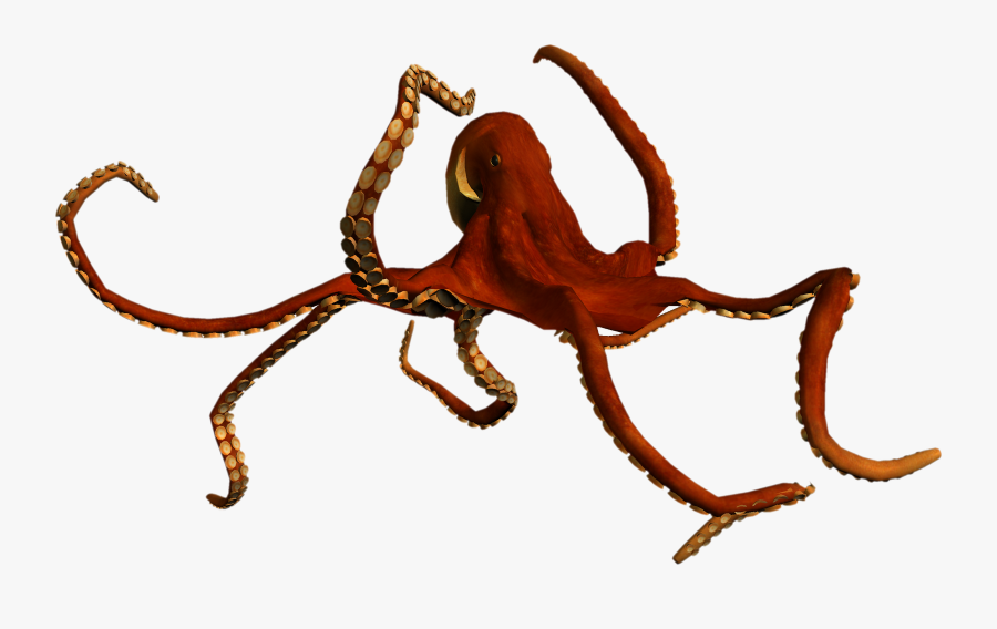 Seaworld Logo Clip Art - Sea World Png, Transparent Clipart