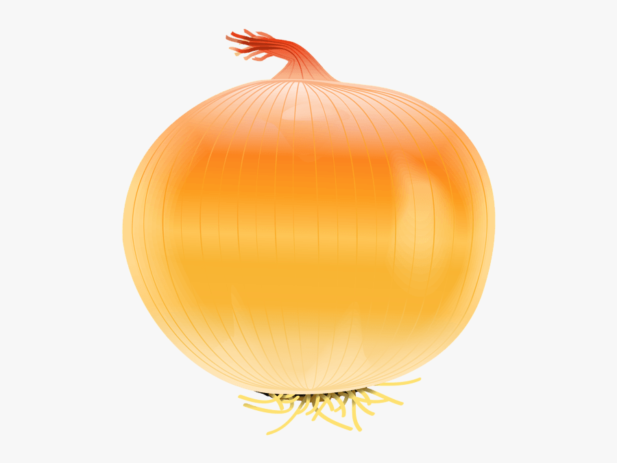 Onion Free Png Clip Art Image - Free Clip Art Onion, Transparent Clipart
