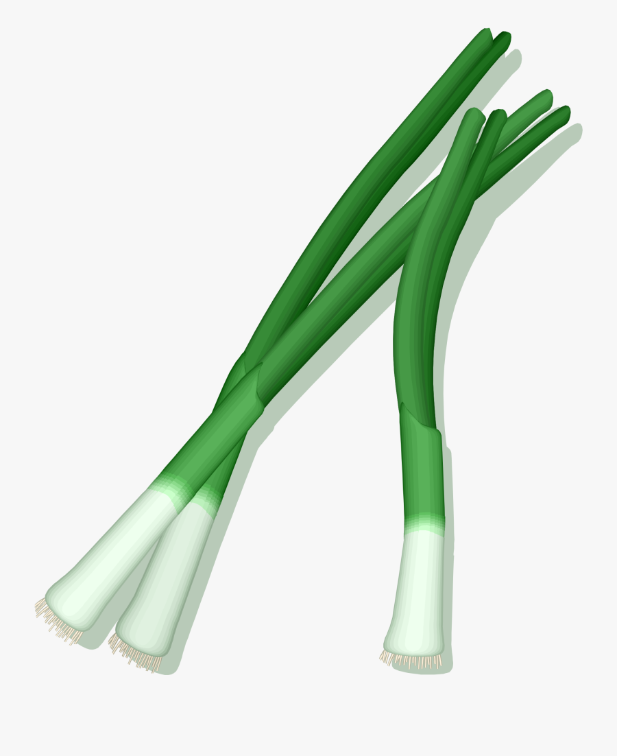 Cowboy Cactus Cliparts 24, - Define Shallot, Transparent Clipart