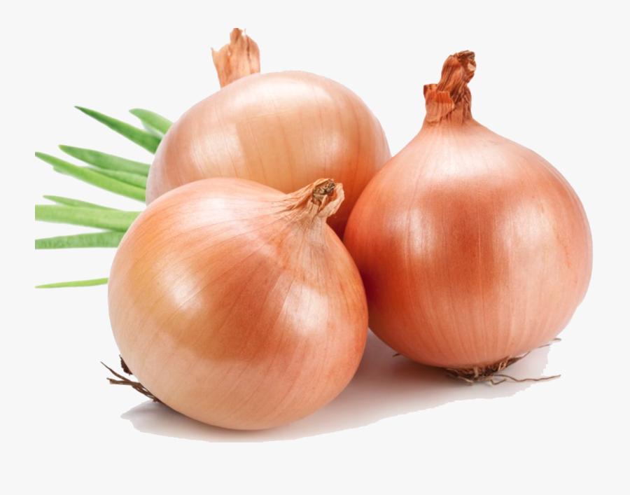 Onion Png File - Onion Png, Transparent Clipart