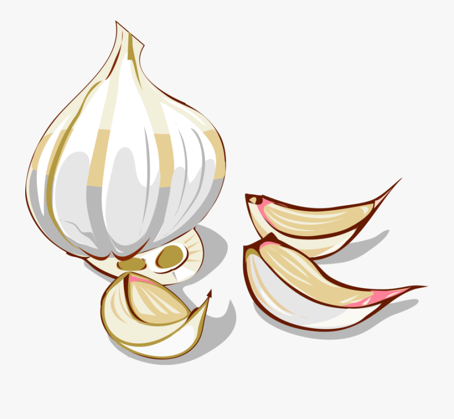 Onion Clipart Shallot - Garlic Clipart, Transparent Clipart