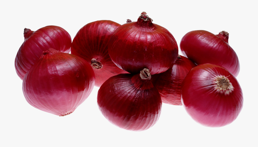 Onion Clipart Red Onion - Nashik Export Quality Onion, Transparent Clipart