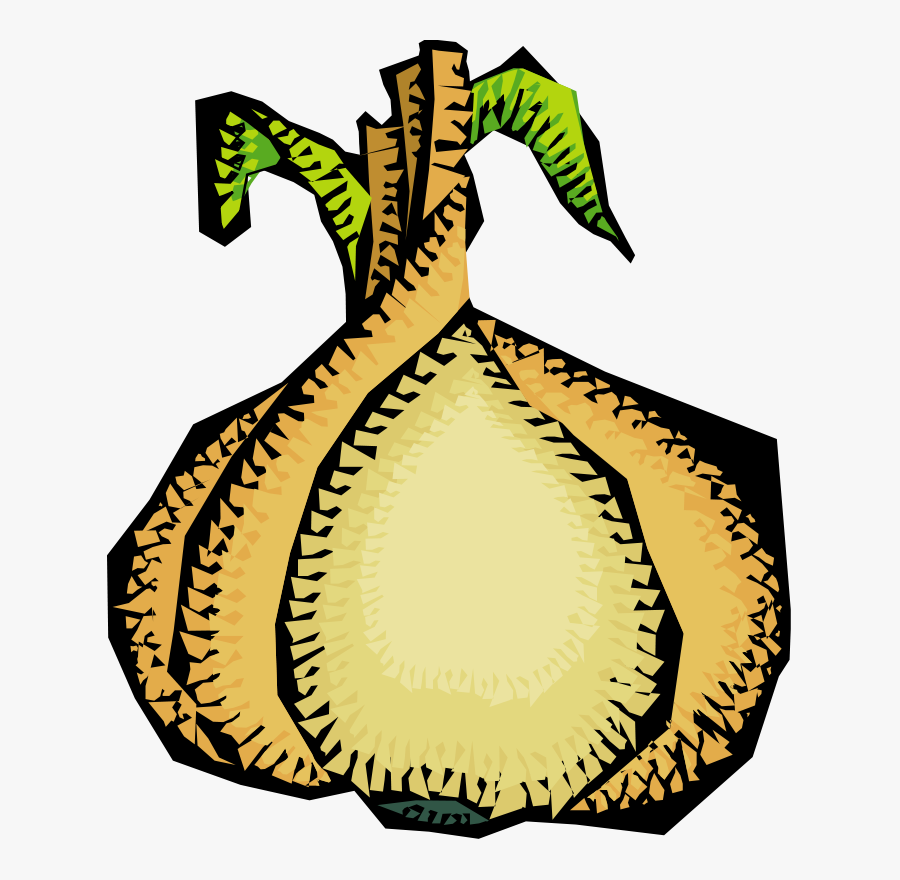 Clipart Vegetables 52 Free Vector - Onion Clip Art, Transparent Clipart