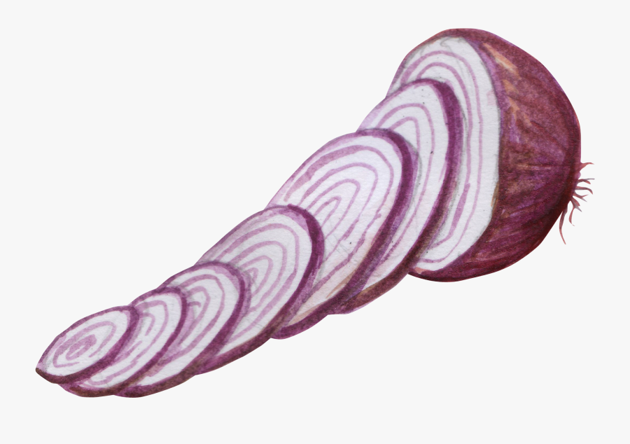 Transparent Vegetable Silhouette Png - Cut Onion Png, Transparent Clipart