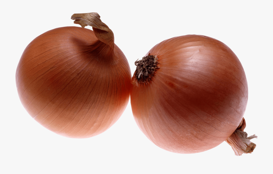 Onion Png Image, Free Download - 2 Onions Png, Transparent Clipart