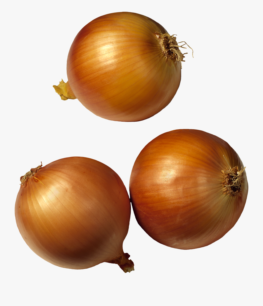 Onions Transparent Background, Transparent Clipart