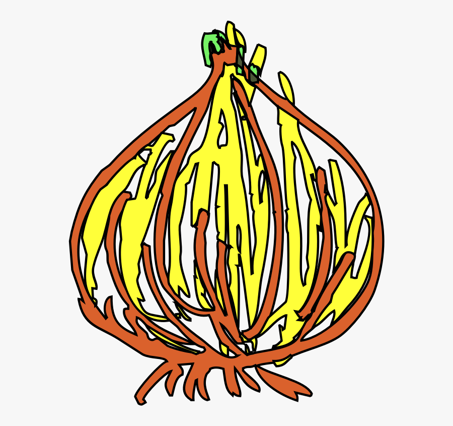 Onion - Clip Art, Transparent Clipart