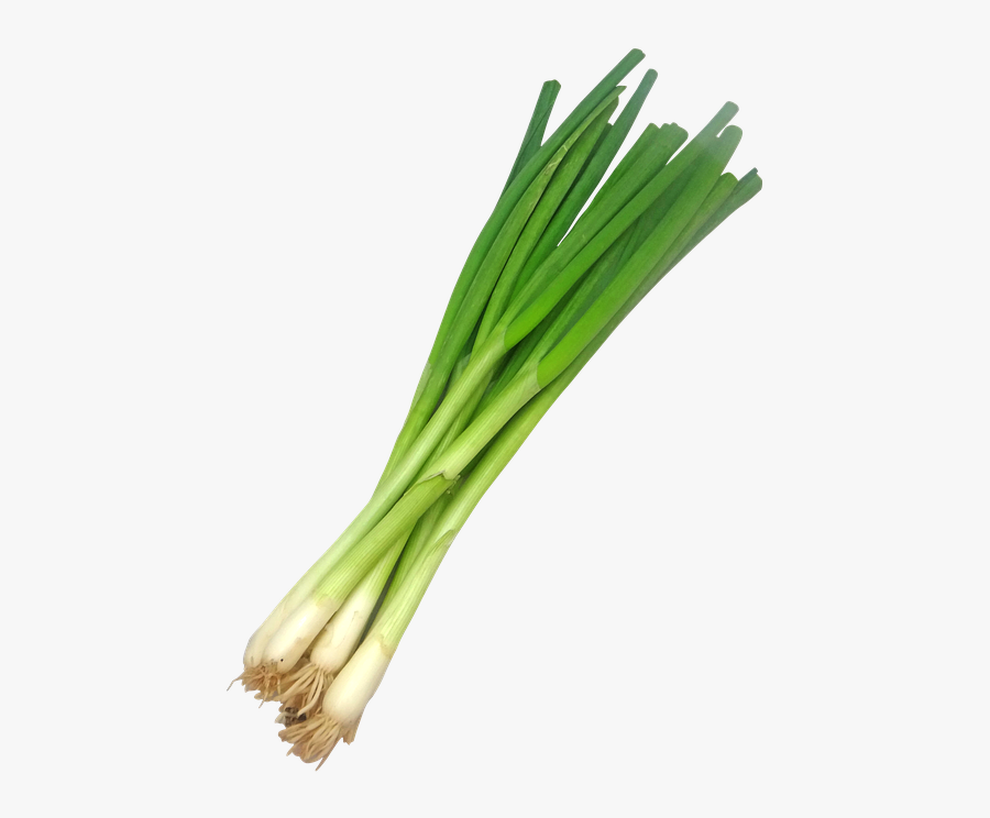 Leek Png - Spring Onion Transparent, Transparent Clipart