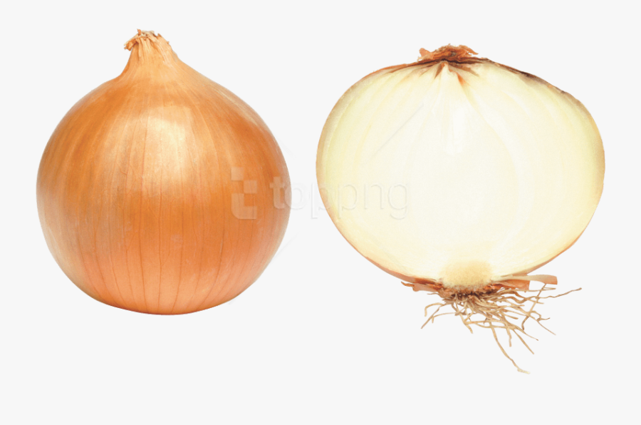 Onion Clipart Fresh - Download Png Transparent Transparent Background Onion, Transparent Clipart