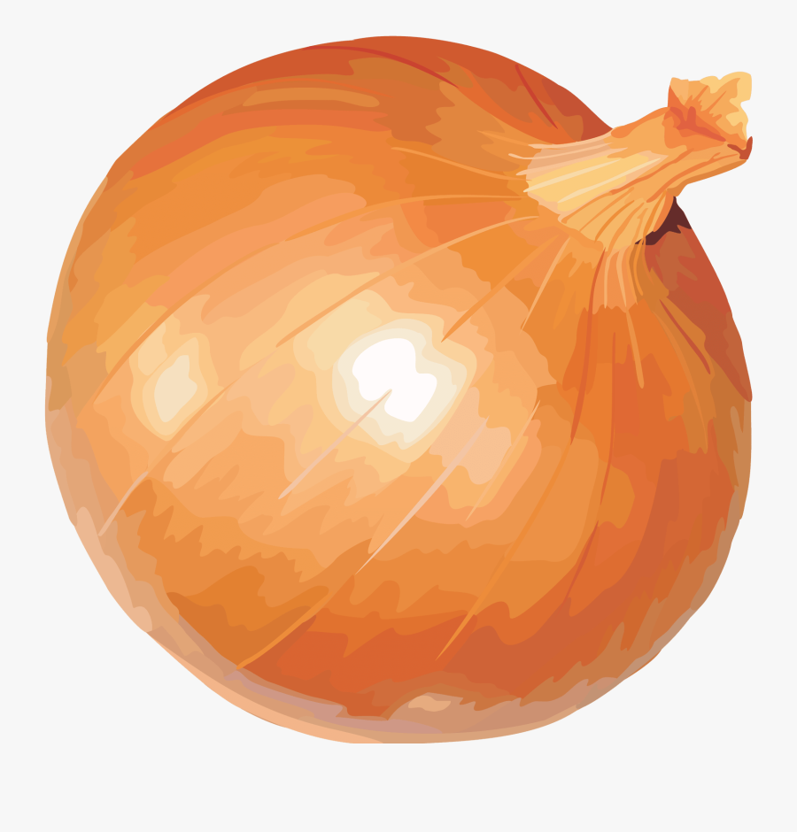 Transparent Onion Png - Onion, Transparent Clipart