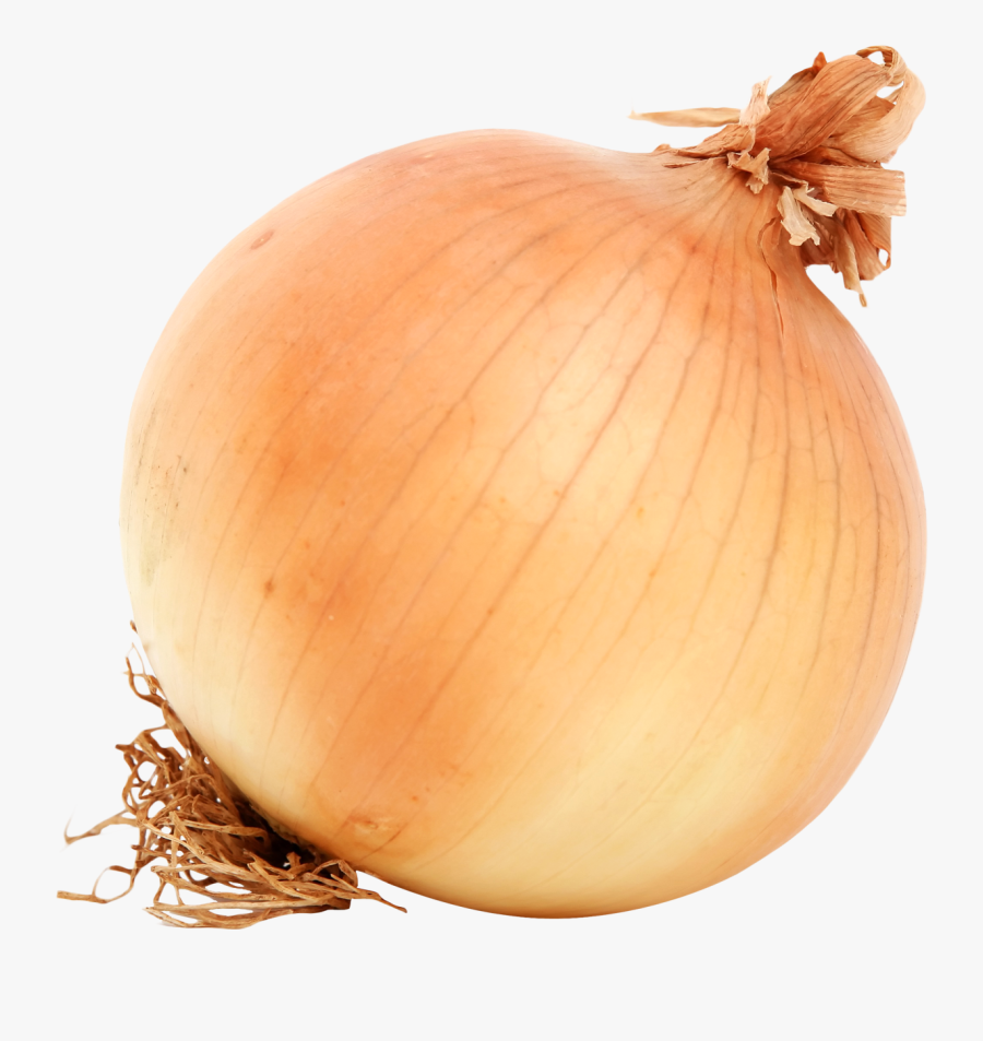 Onion Png Transparent Images - Onion Transparent, Transparent Clipart