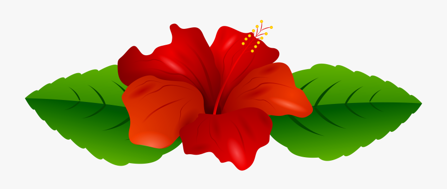 Red Hibiscus Transparent Png Clip Art Image - Luau Clip Art Hibiscus, Transparent Clipart