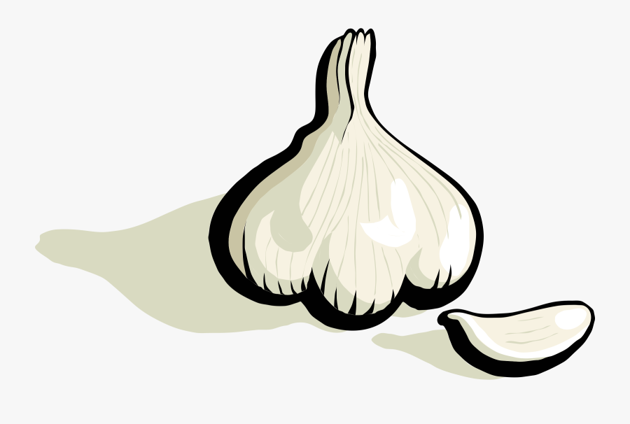 Garlic - Clipart - Garlic Clove Clipart, Transparent Clipart