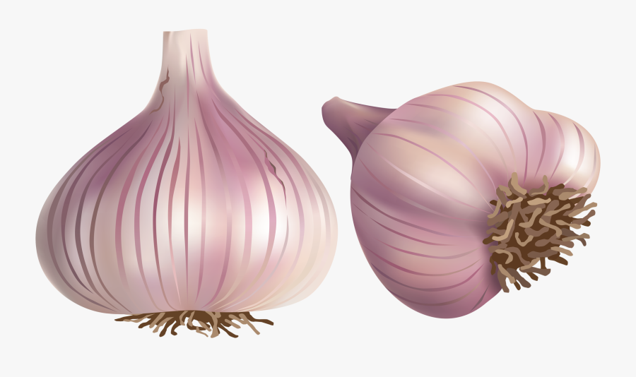 Onion Clipart Shallot - Spices Vector, Transparent Clipart