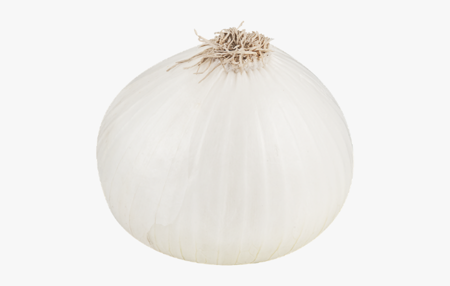 White Onion Png File - White Onion Png, Transparent Clipart