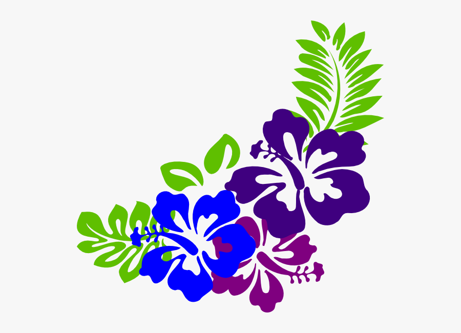 Border Hawaiian Flower Clipart, Transparent Clipart