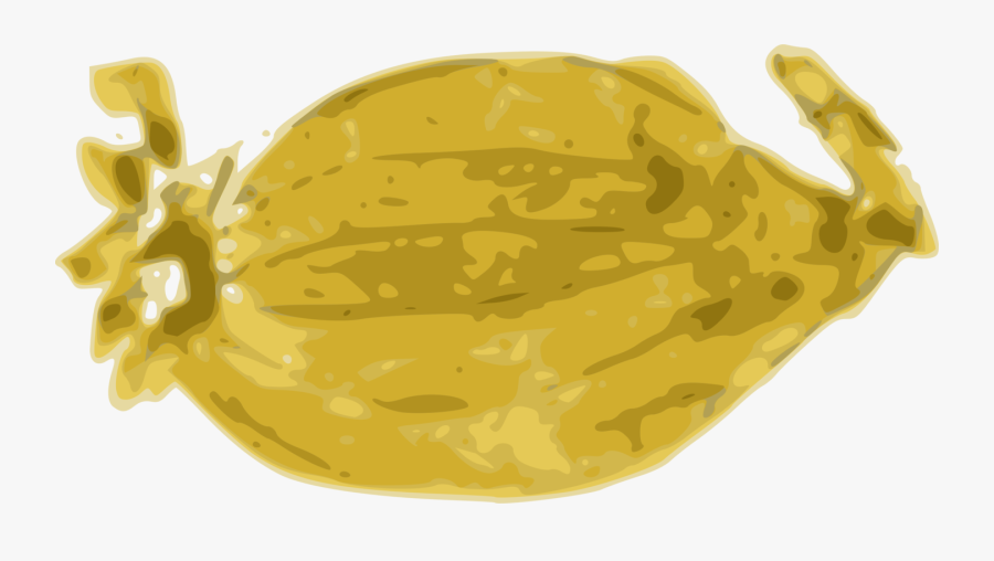 Onion - Illustration, Transparent Clipart