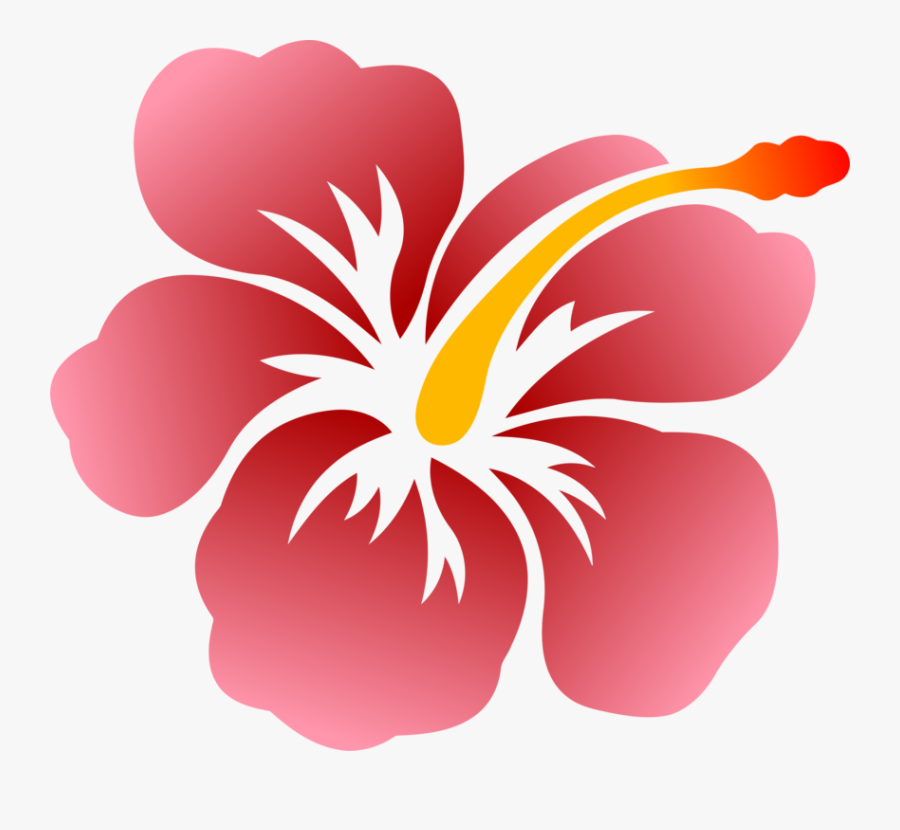 Hibiscus,plant,flower - Hibiscus Drawing, Transparent Clipart