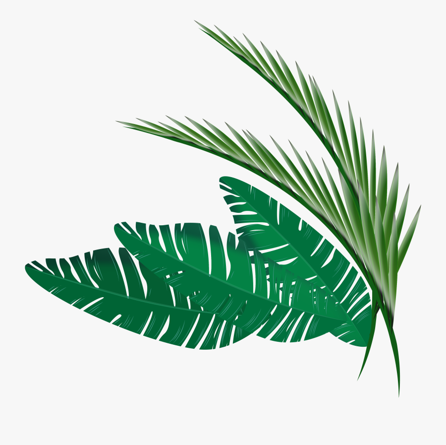 Show Your Heartbeat - Transparent Tropical Leaf Border Png, Transparent Clipart
