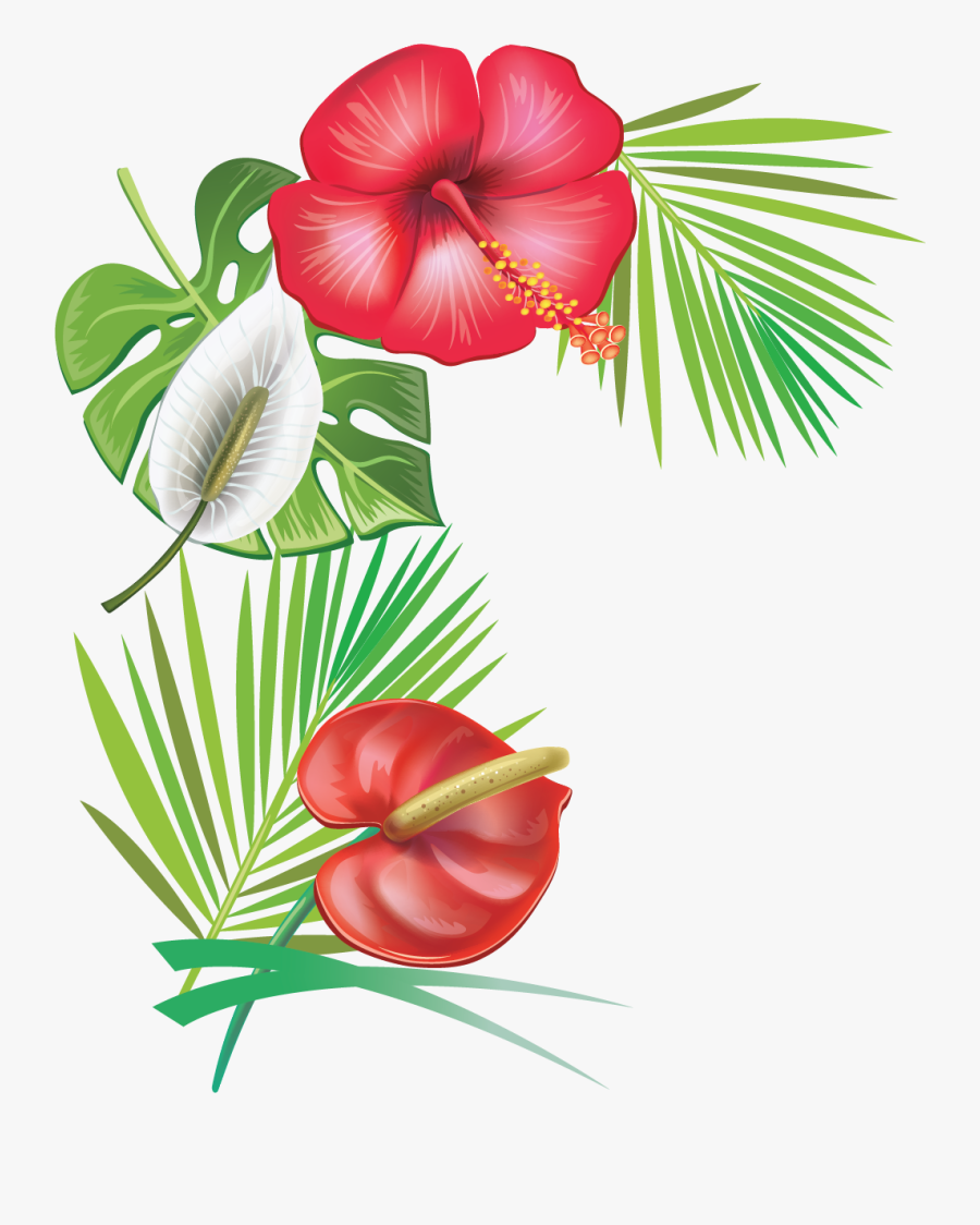 Hibiscus Clipart Caribbean - Transparent Background Hibiscus Flower Moana Png, Transparent Clipart