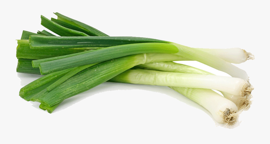 Clipart Free Stock Onion Vector Green Onions - Leeks Png, Transparent Clipart
