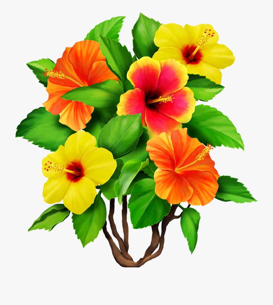 Hawaiian Aloha Tropical - Tropical Flower Png, Transparent Clipart