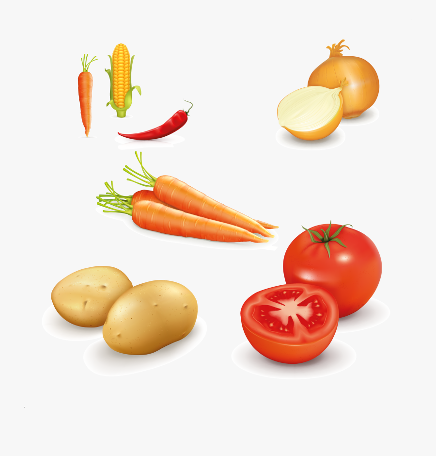Carrot Vector, Transparent Clipart