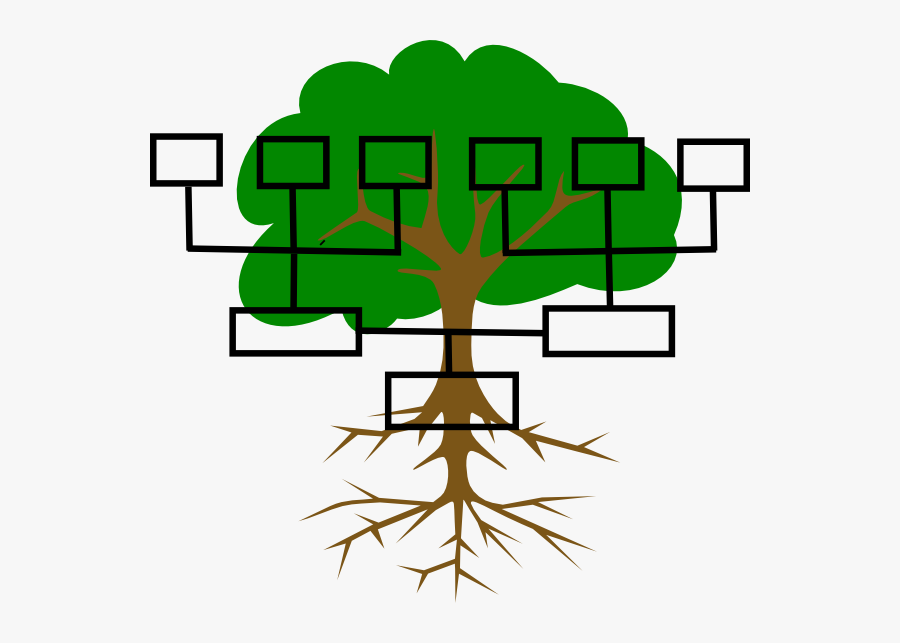History - Clipart - Family Tree Clipart, Transparent Clipart