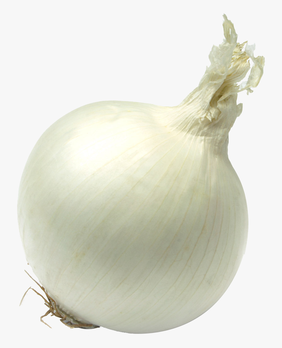 Single Onion Png Free Download Yellow Onion- - Single Onion Vegetable Hd, Transparent Clipart