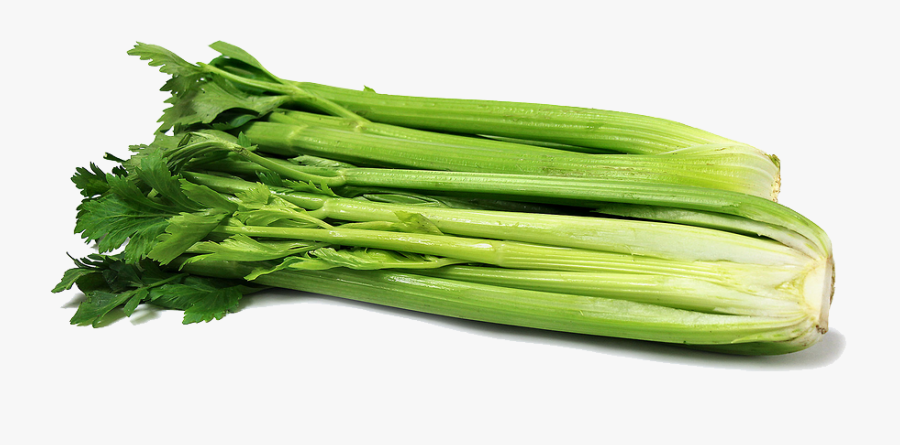 Download Celery Png Clipart - Clipart Celery Png, Transparent Clipart