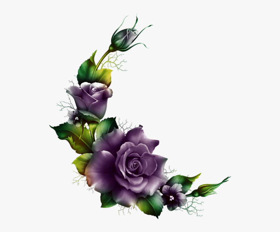 Roses 2 Picture Frame Crafts, Antique Roses, Hibiscus - Love Nice Beautiful Flower, Transparent Clipart