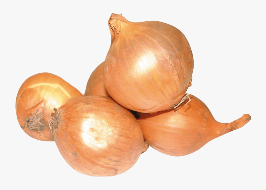 Onion Png - Onion, Transparent Clipart