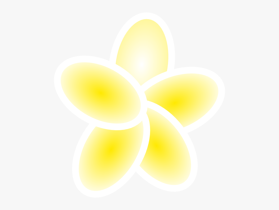 Frangipani, Transparent Clipart