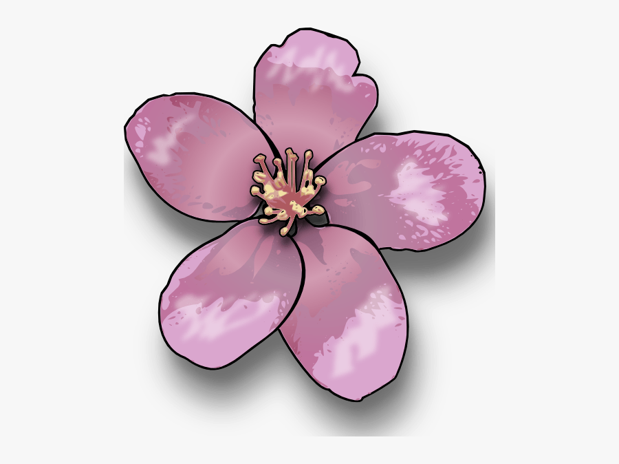 Apple Blossom Cliparts - Blossom Clip Art, Transparent Clipart