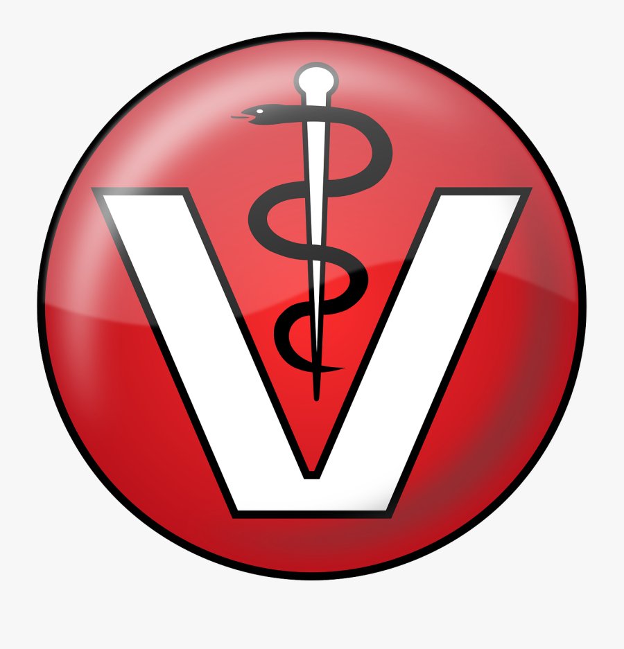 Hospital Clip Art Download - Veterinary Physician, Transparent Clipart