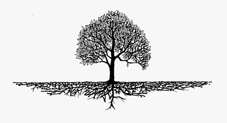 Family Reunion Tree Clipart - Transparent Family Tree Vector, Transparent Clipart