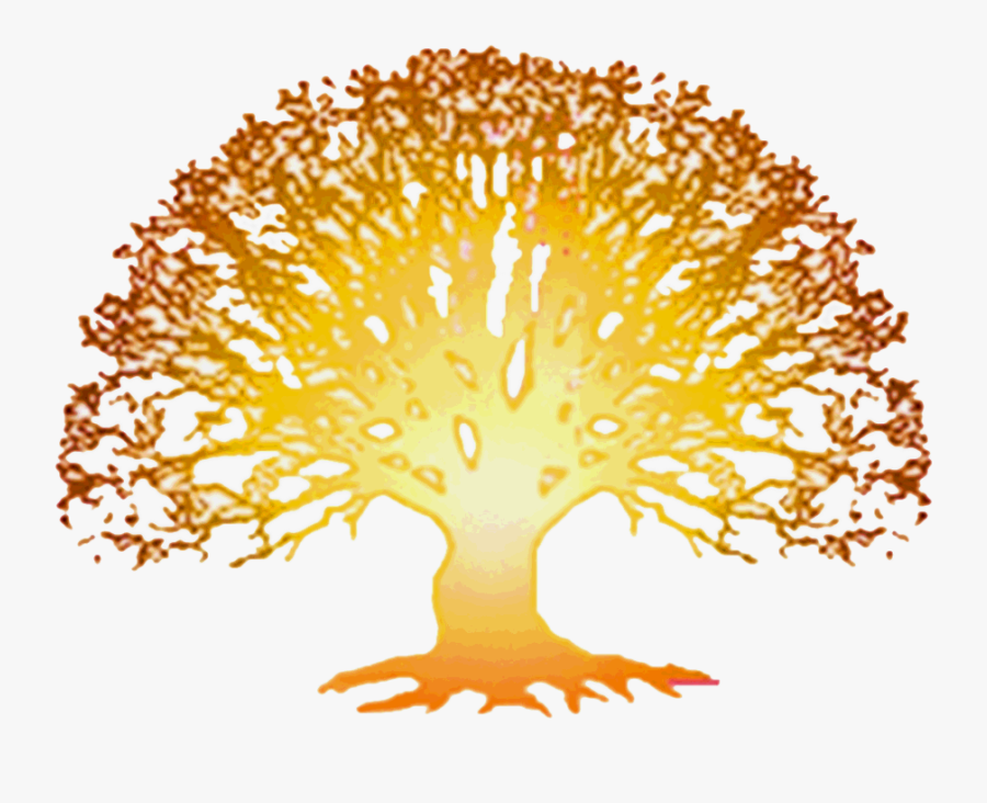 Family Reunion Family Tree Adoption Reunion Registry - Family Tree Reunion Png, Transparent Clipart