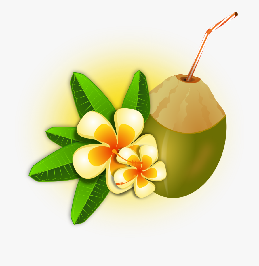 Hawaii Clipart Hawaiian Food - Aloha Coconut, Transparent Clipart