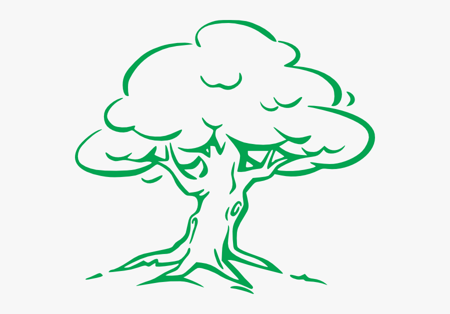 Oak Tree Simple Drawing, Transparent Clipart