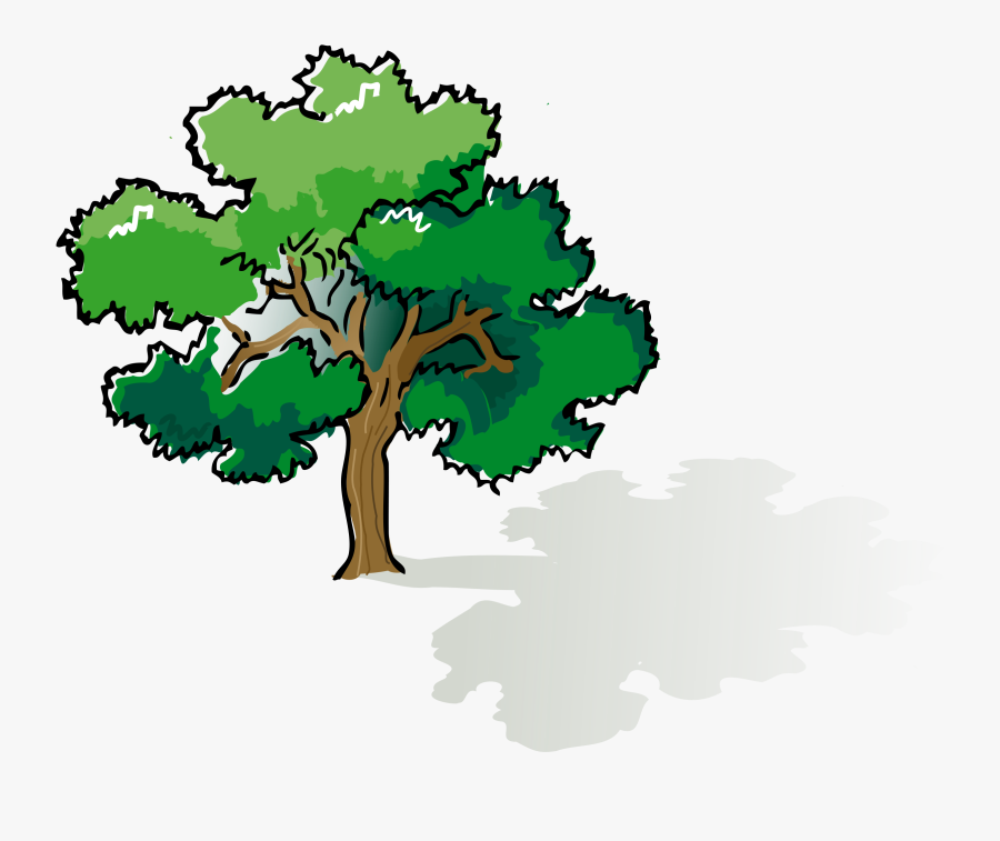 Oak Tree Tree Clip Art Free Clipart Images Clipart - Tree Shade Clipart, Transparent Clipart