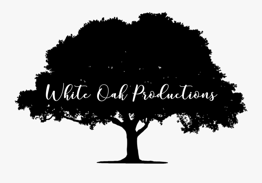 Black And White Oak Tree Transparent - Tree Vector Png Black, Transparent Clipart