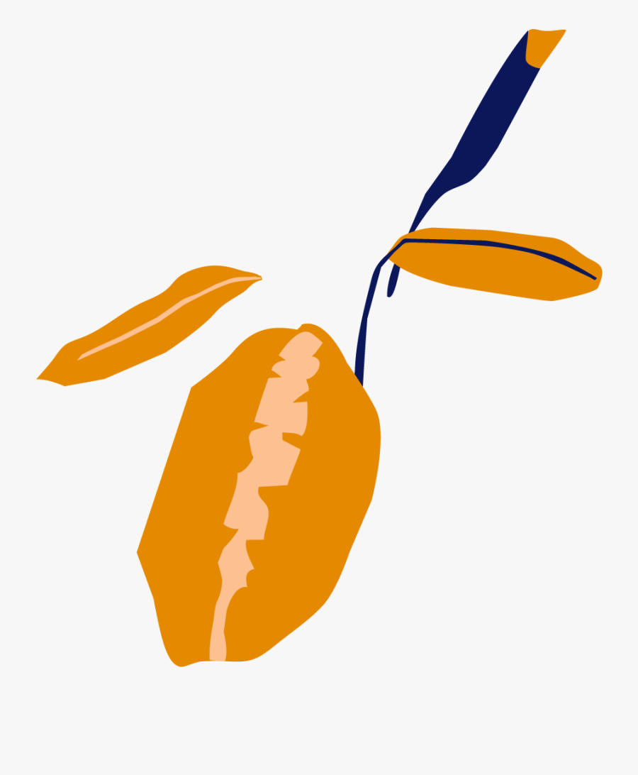 Illustration, Transparent Clipart