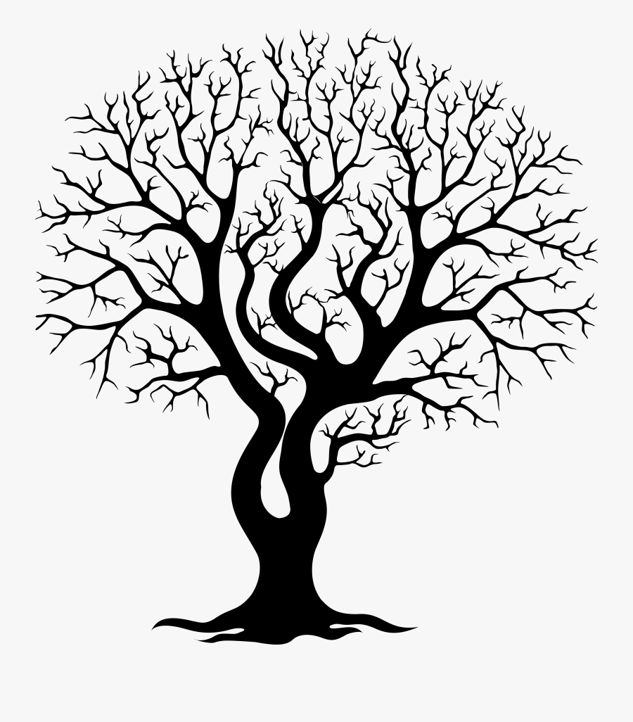Collection Of Free Branch Drawing Tree Trunk Download - Bare Oak Tree Silhouette, Transparent Clipart