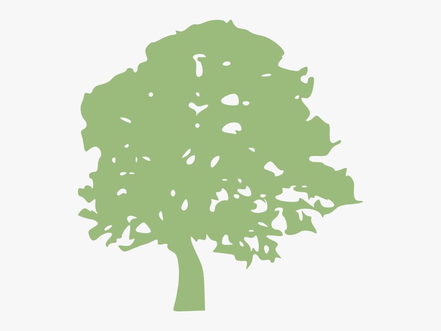 Arbol Dibujo Verde, Transparent Clipart