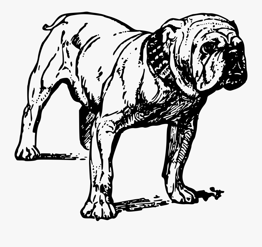 Free Vector Bulldog Clip Art - Bulldog Line Art, Transparent Clipart