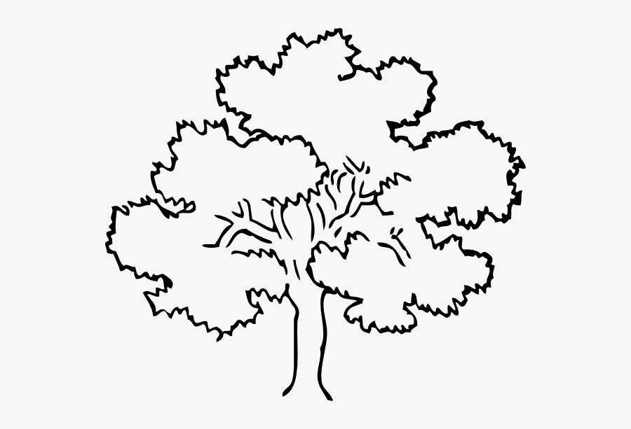 Oak Tree Clip Art At Clker Com Vector Clip Art Online - Forest Tree Coloring Page, Transparent Clipart