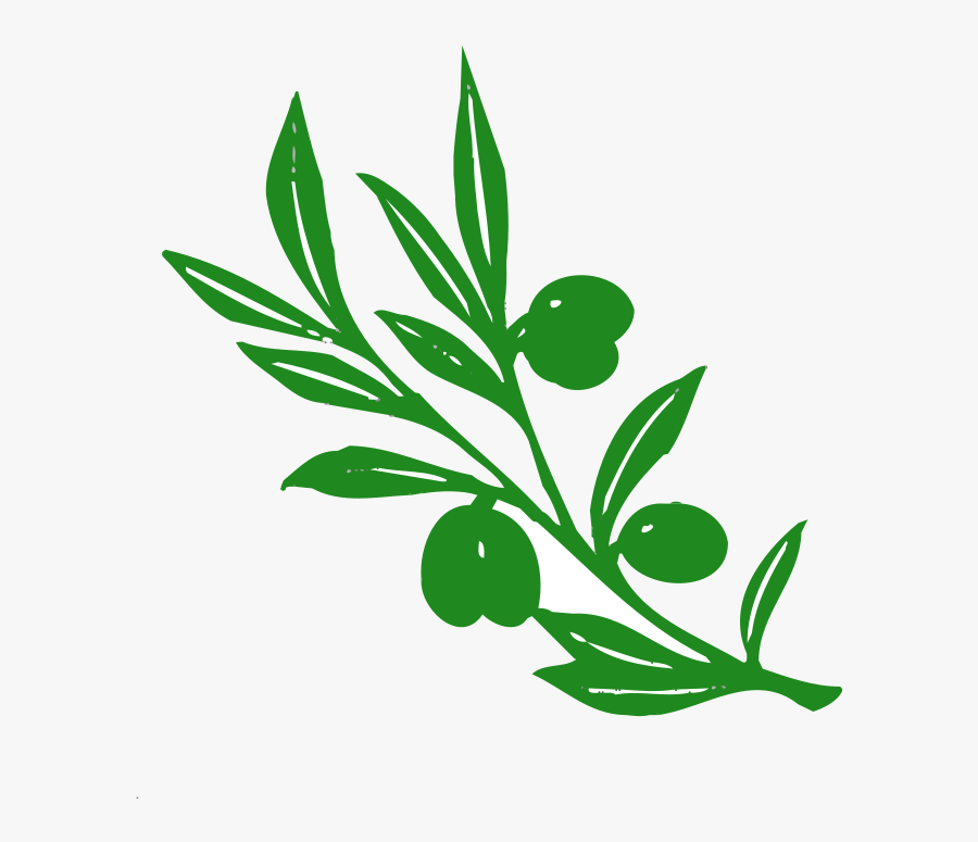 Oak - Tree - Vector - Free - Download - Olive Tree Branch, Transparent Clipart