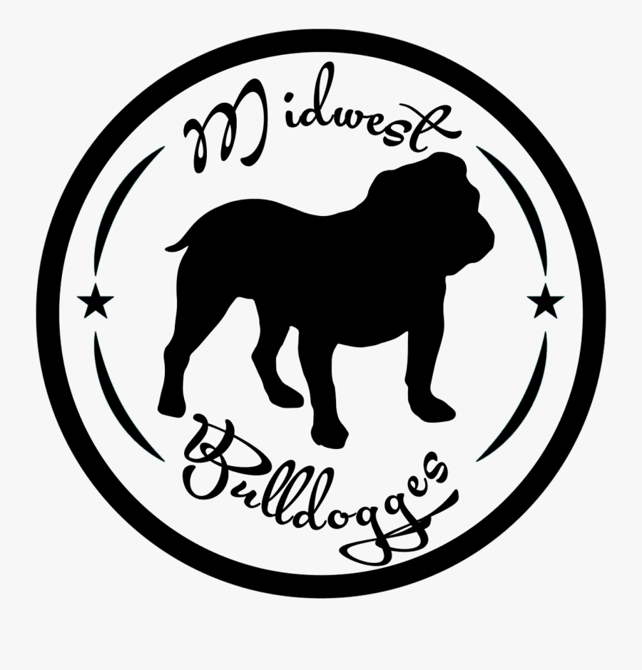 American Bulldog Clip Art - English Bulldog Vector, Transparent Clipart