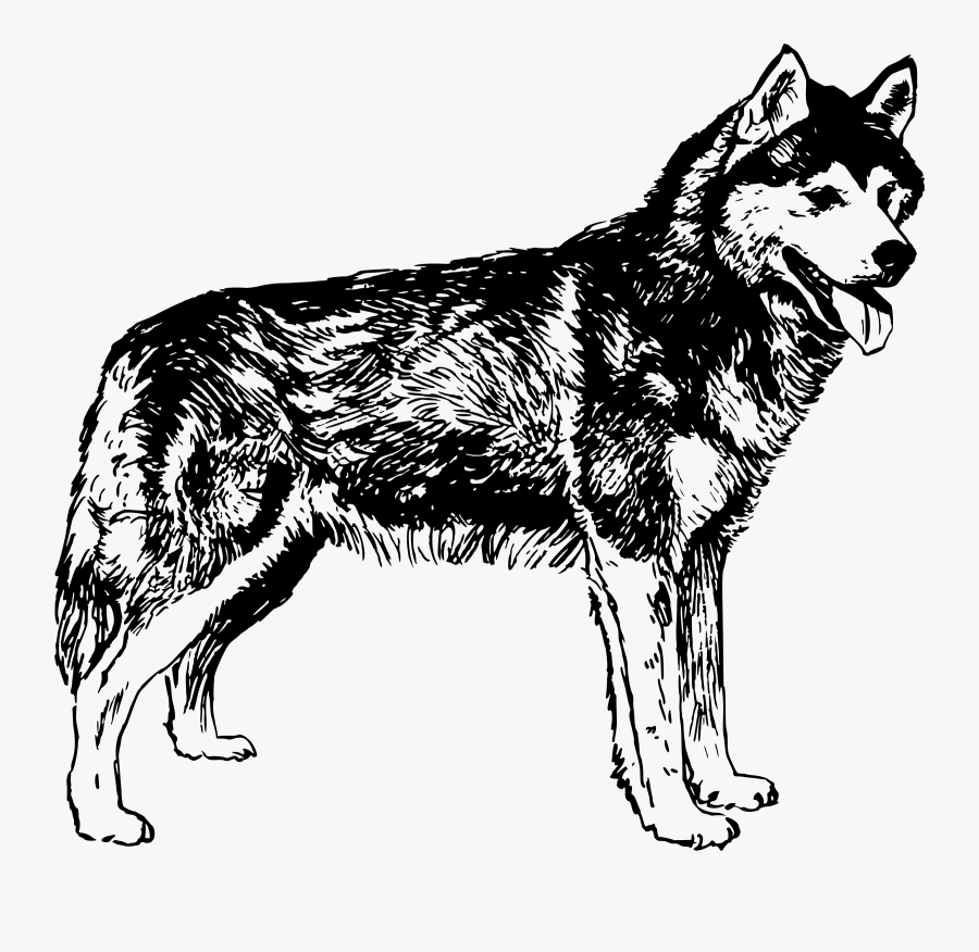 Clip Art Details - Husky Dog Images Clipart, Transparent Clipart