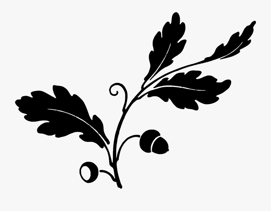 Plant,flora,leaf - Silhouette Oak Leaf Png, Transparent Clipart